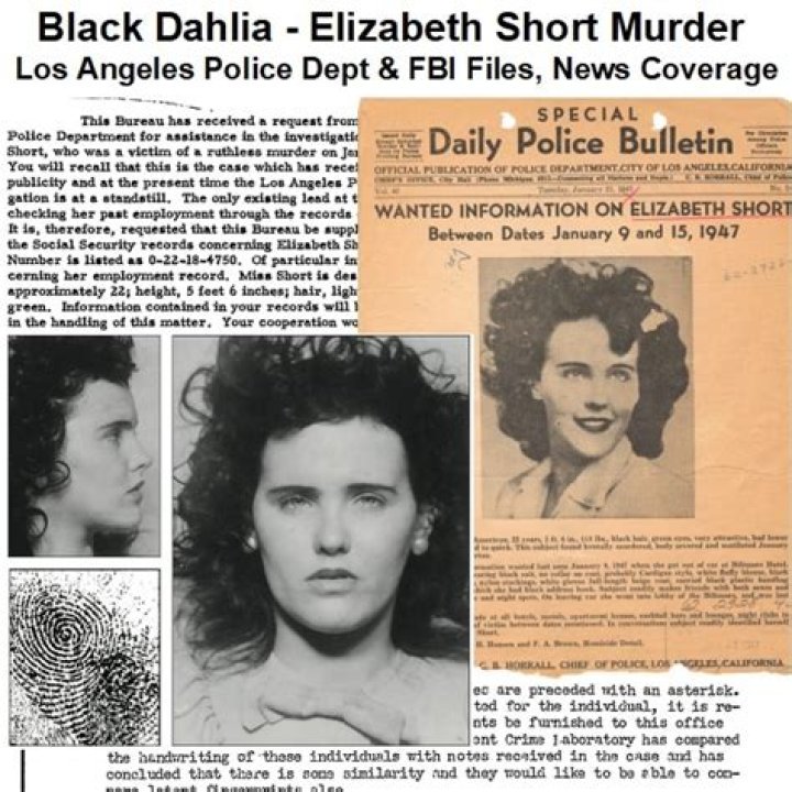 Black Dahlia Black Dahlia