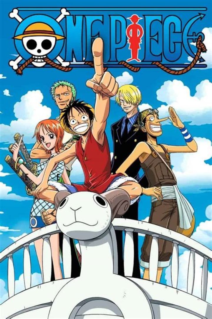 Coraz&oacute;n One Piece