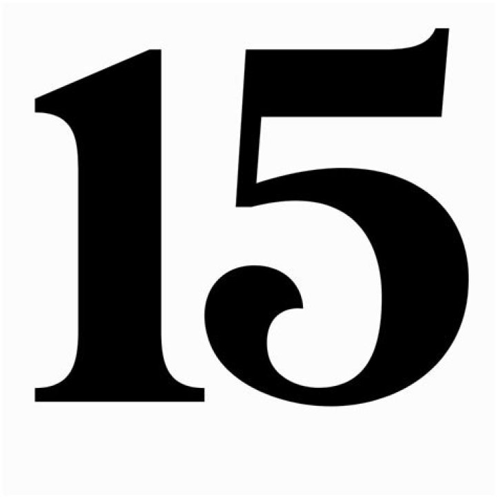 image 15