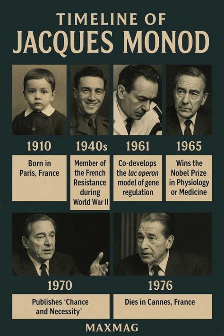 Jacques Monod Biography