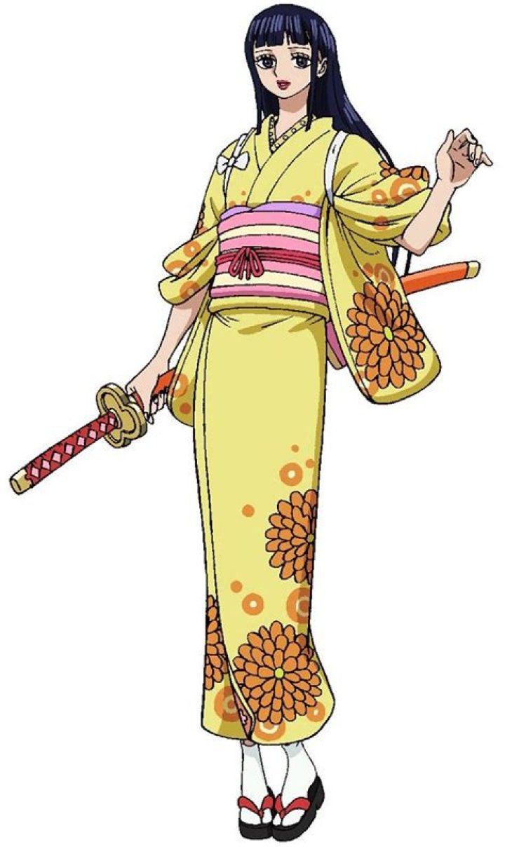 Kiku One Piece Wano arc