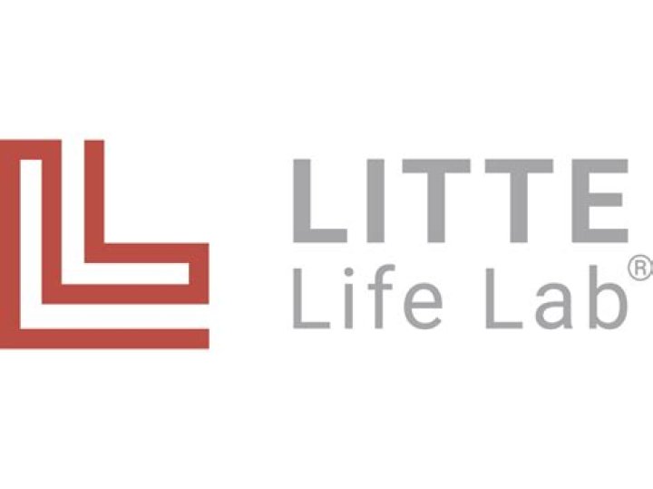 litte e1562927452146