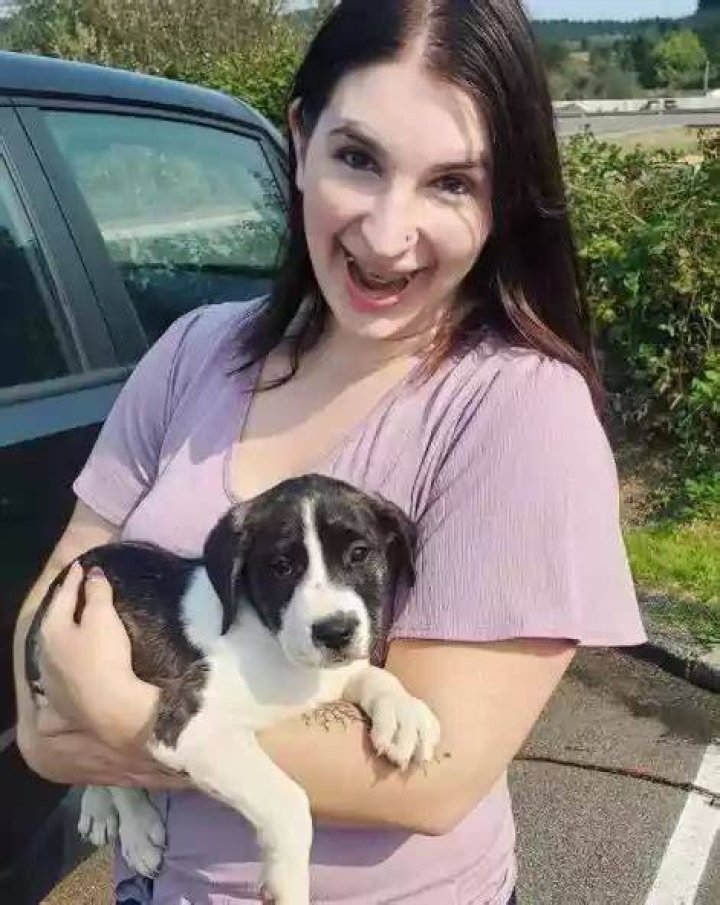 Paige Steele Dog