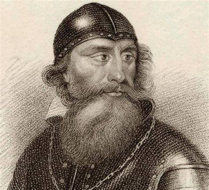 Robert the Bruce Biography