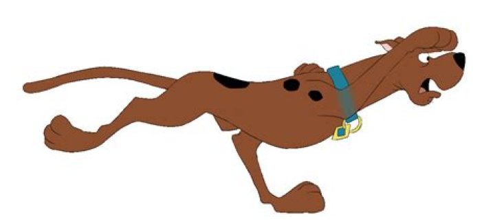 Scooby Doo is running with the rest of the gang. 