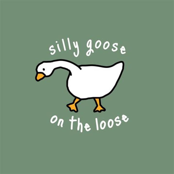 Silly goose.