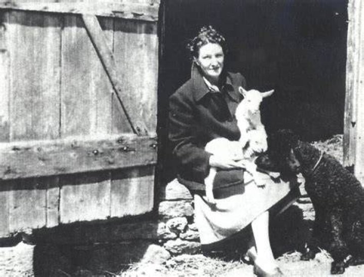 Virginia Hall Virginia Hall
