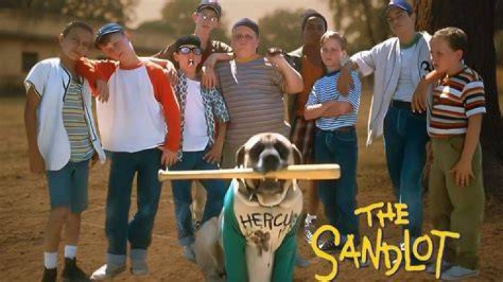 Was The Sandlot a true story?