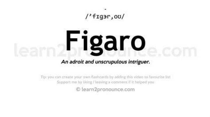 What does Figaro mean in English?