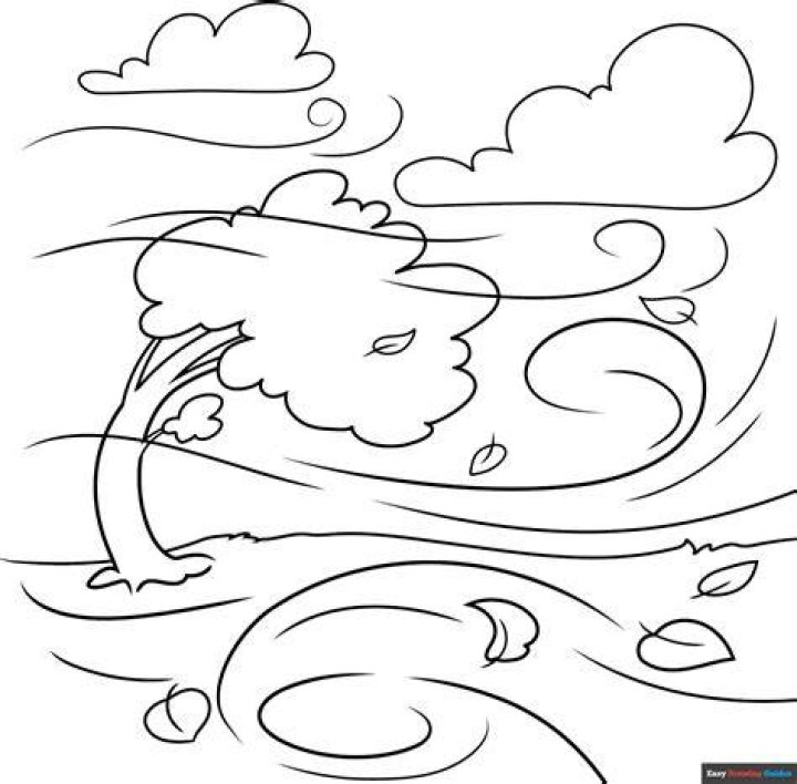 What is Colour of wind?
